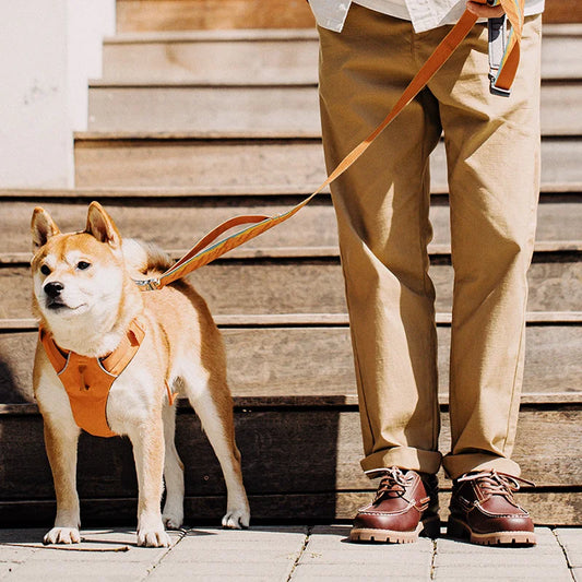 VALORIA | Men’s premium vintage leather shoes with classic timeless design
