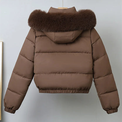 Brown puffer jacket with fur hood on a light gray background