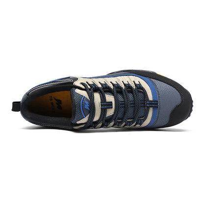 Blue and black sneaker on a white background