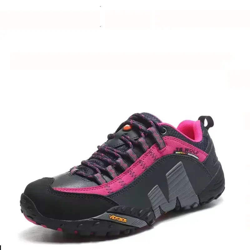 Pink and gray sneaker on a white background